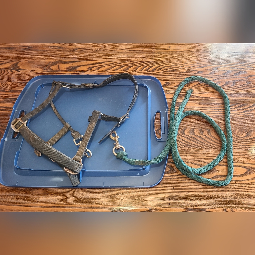 Black bridle and green lead rope